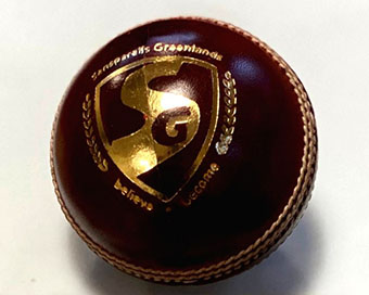 SG cricket ball (file photo)