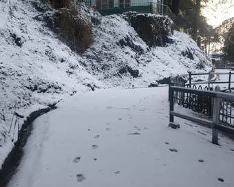 Shimla, Dalhousie wraped in white blanket