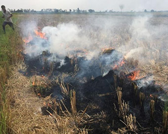 Delhi air quality set to worsen in next 3 days, thanks to stubble burning