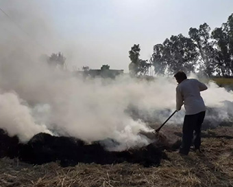 Stubble burning