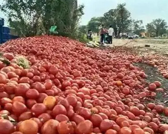 Tomato prices shooting through the roof in Bengaluru