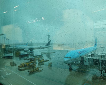 Seoul: Typhoon Lingling on Saturday delayed the return home of Defence Minister Rajnath Singh, who was on a four-day visit to South Korea, as the Seoul Airport remained inoperable for several hours, on Sep 7, 2019. Over a dozen flights to and fro Seo
