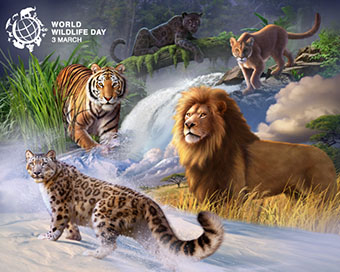 World Wildlife Day: PM, VP stress on protection of animals