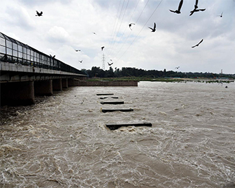 Rising ammonia level in Yamuna may create water crisis in Delhi on Sunday