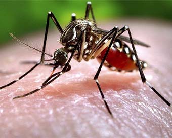 Karnataka intensifies measures amid rising Zika Virus cases, areas adjoining Kerala on high alert